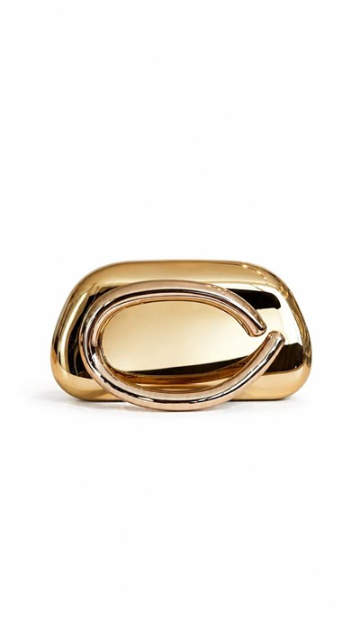 Zasa Çanta Gold