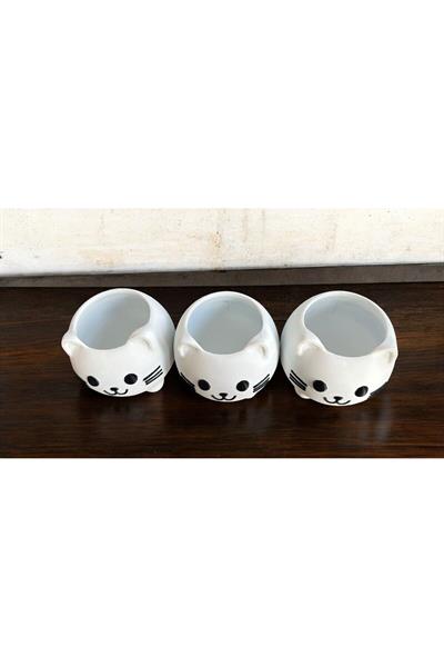 3lü Kedi Saksı