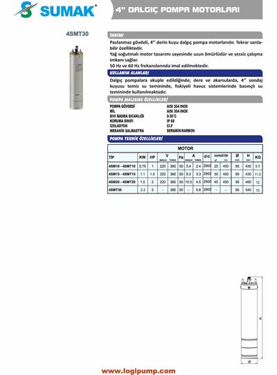 4SMT30 Tek Motor 3 Hp- 4