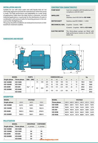  City Pumps ICB 100N Çift Çarklı Santrifüj Pompa Basınç Artırma Uygulamaları İçin 0.75 kW - 42 mSS