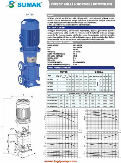 SUMAK SHT65/3-45 Komple Döküm Dik Kademeli Pompa | 45 kW - 380 V