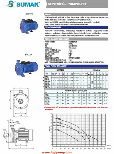 SUMAK SMT100-P Sıcak Su - Paslanmaz Çarklı Pompa | 0.75 kW - 380 V