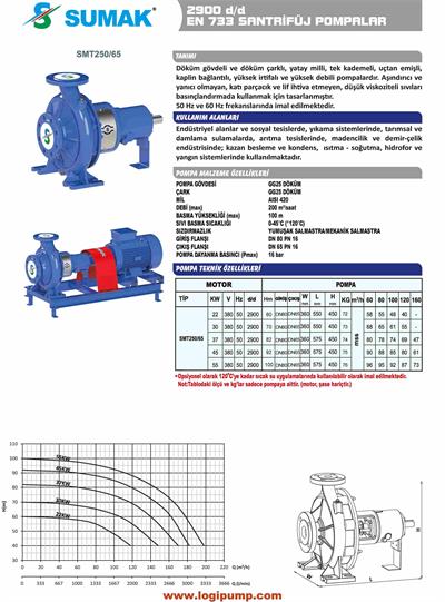 SUMAK SMT250/65-22 En 733 Santrifüj Pompa 2900 D/D | 22 kW - 380 V