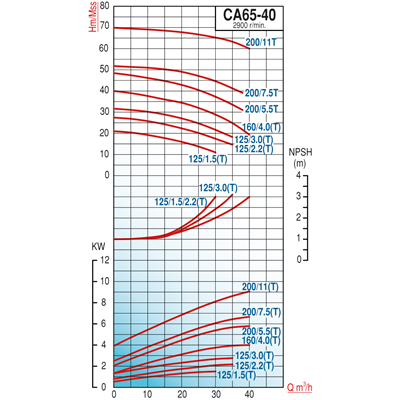 Varan CA 65-40-200/5.5T Paslanmaz / Uçtan Emişli - Kapalı Kaplinli Endüstriyel Santrifüj Pompa (7.5 HP / 5.5 kW) 47 mSS / 40 m3/h