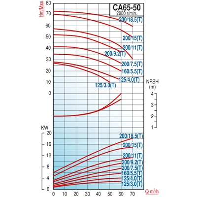 Varan CA 65-50-200/11T Paslanmaz / Uçtan Emişli - Kapalı Kaplinli Endüstriyel Santrifüj Pompa (15 HP / 11.2 kW) 57 mSS / 70 m3/h