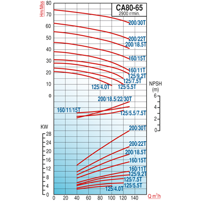 Varan CA 80-65-125/7.5T Paslanmaz / Uçtan Emişli - Kapalı Kaplinli Endüstriyel Santrifüj Pompa (10 HP / 7.5 kW) 27 mSS / 120 m3/h