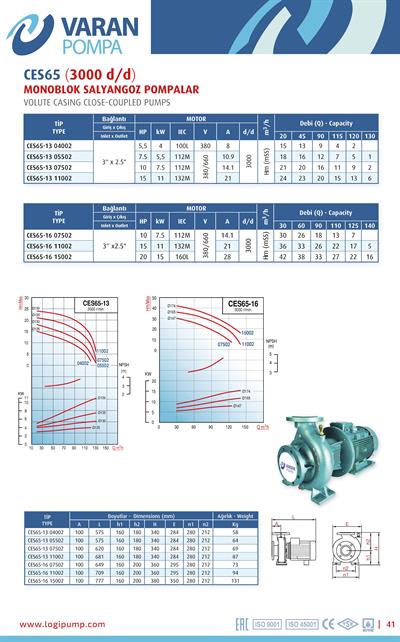 Varan CES 65-13-11002 Uçtan Emişli - Kapalı Kaplinli / EN 733 Yüksek Verimli Endüstriyel Santrifüj Pompa (15 HP / 11.2 kW) 24 mSS / 130 m3/h