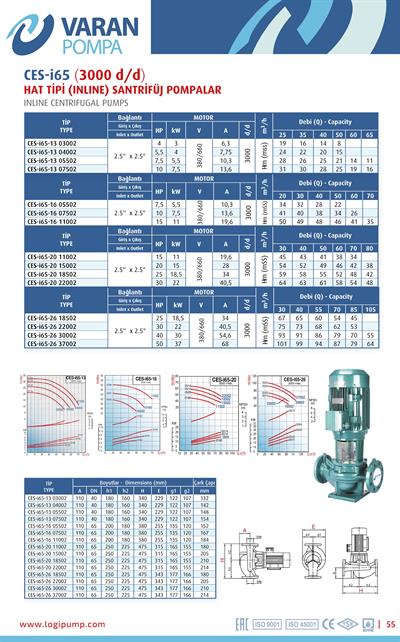 Varan CES-I 65-20-15002 Pik Döküm / İn-line (Hat Tipi) Endüstriyel Dik Milli Santrifüj Pompa (20 HP / 15 kW) 54 mSS / 80 m3/h