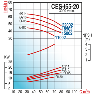 Varan CES-I 65-20-22002 Pik Döküm / İn-line (Hat Tipi) Endüstriyel Dik Milli Santrifüj Pompa (30 HP / 22 kW) 64 mSS / 80 m3/h