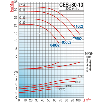 Varan CES-I 80-13-05502 Pik Döküm / İn-line (Hat Tipi) Endüstriyel Dik Milli Santrifüj Pompa (