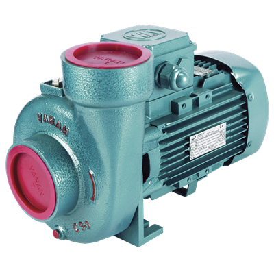 Varan CS 33 Tek Kademe / Monoblok Endüstriyel Santrifüj Pompa (3 HP / 2.2 kW) 17 mSS / 60 m3/h