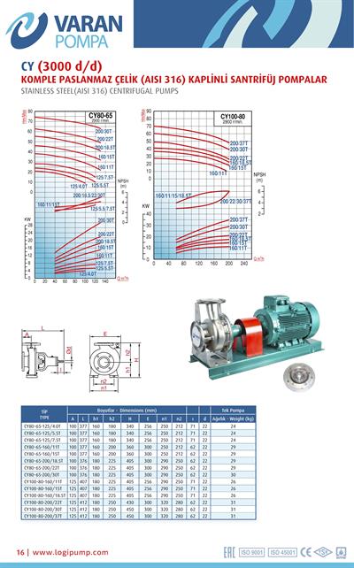 Varan CY 100-80-160/11T Paslanmaz / Komple Paslanmaz Uçtan Emişli - Uzun Kaplinli Endüstriyel Santrifüj Pompa (15 HP / 11.2 kW) 26 mSS / 190 m3/h