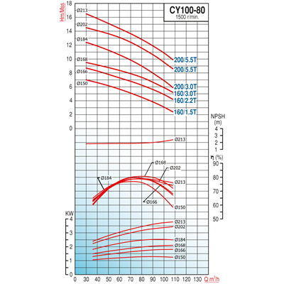 Varan CY 100-80-160/3.0T Paslanmaz / Komple Paslanmaz Uçtan Emişli - Uzun Kaplinli Endüstriyel Santrifüj Pompa (4 HP / 3 kW) 9,5 mSS / 108 m3/h