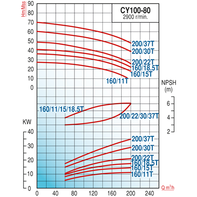 Varan CY 100-80-200/37T Paslanmaz / Komple Paslanmaz Uçtan Emişli - Uzun Kaplinli Endüstriyel Santrifüj Pompa (50 HP / 37 kW) 66 mSS / 200 m3/h