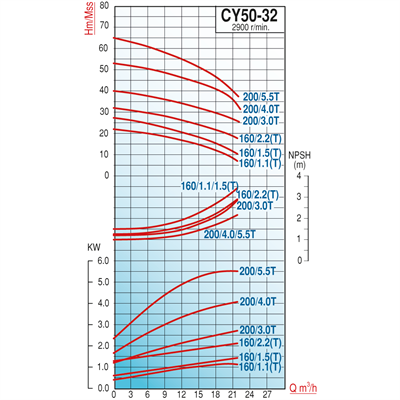 Varan CY 50-32-160/2.2T Paslanmaz / Komple Paslanmaz Uçtan Emişli - Uzun Kaplinli Endüstriyel Santrifüj Pompa (3 HP / 2.2 kW) 31 mSS / 24 m3/h
