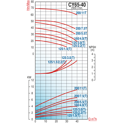 Varan CY 65-40-200/7.5T Paslanmaz / Komple Paslanmaz Uçtan Emişli - Uzun Kaplinli Endüstriyel Santrifüj Pompa (10 HP / 7.5 kW) 53 mSS / 40 m3/h