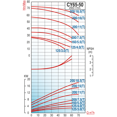 Varan CY 65-50-200/7.5T Paslanmaz / Komple Paslanmaz Uçtan Emişli - Uzun Kaplinli Endüstriyel Santrifüj Pompa (10 HP / 7.5 kW) 42 mSS / 60 m3/h