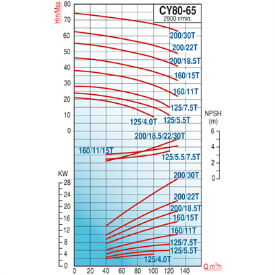 Varan CY 80-65-160/15T Paslanmaz / Komple Paslanmaz Uçtan Emişli - Uzun Kaplinli Endüstriyel Santrifüj Pompa (20 HP / 15 kW) 44 mSS / 130 m3/h