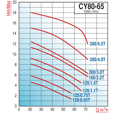 Varan CY 80-65-200/4.0T Paslanmaz / Komple Paslanmaz Uçtan Emişli - Uzun Kaplinli Endüstriyel Santrifüj Pompa (5.5 HP / 4 kW) 15 mSS / 72 m3/h