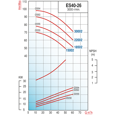 Varan ES 40-26-18502 Uçtan Emişli - Uzun Kaplinli / EN 733 Yüksek Verimli Endüstriyel Santrifüj Pompa (25 HP / 18.5 kW) 78 mSS / 60 m3/h