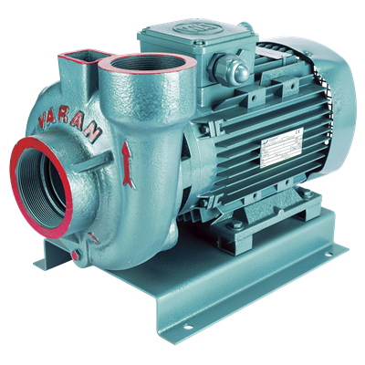 Varan VS 253 Tek Kademe / Monoblok Endüstriyel Santrifüj Pompa (3 HP / 2.2 kW) 23 mSS / 45 m3/h
