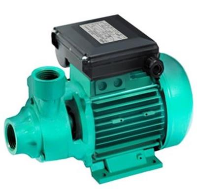 WİLO Peripheral PV 50 T Tek Kademeli Periferik Pompa 0,6 kW