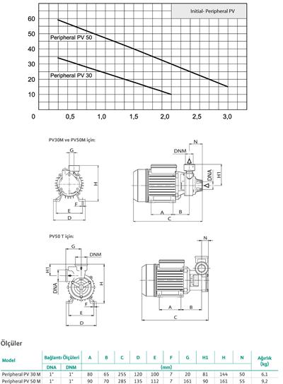 WİLO Peripheral PV 50 T Tek Kademeli Periferik Pompa 0,6 kW