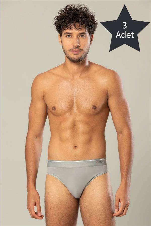Erdem 3'lü Gri Pamuk Elastan Slip 1340
