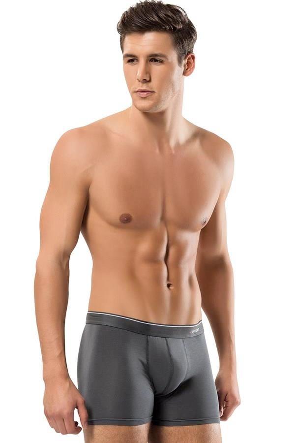 Erdem Füme-Gri-Lacivert 3'lü Basic Boxer 1491