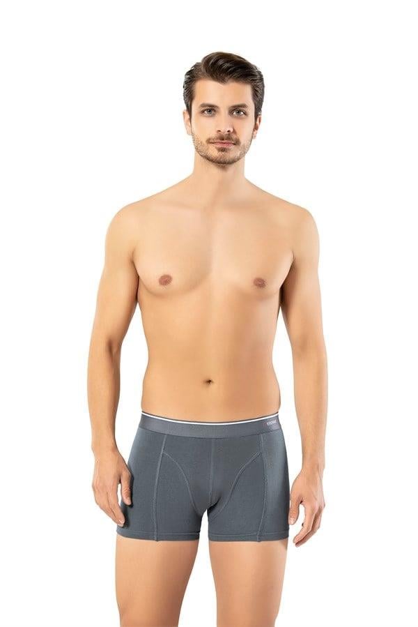 Erdem Füme Pamuk Elastan Klasik Boxer 1445