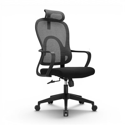 Alpa Fileli Ofis Koltuğu | Ergonomik Baş Destekli Çalışma Koltuğu