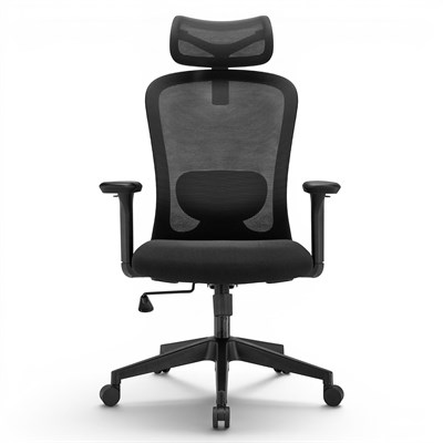 Zento Prime - Ergonomik Bel Destekli Başlıklı Yönetici Koltuğu 