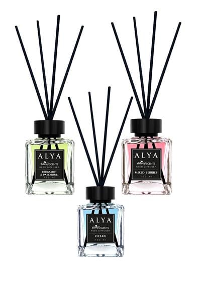 Natures Scents Bambu Çubuklu Oda Kokusu Bergamot & Patchouli - Mixed Berries - Oceann 100 ml x 3 Adet