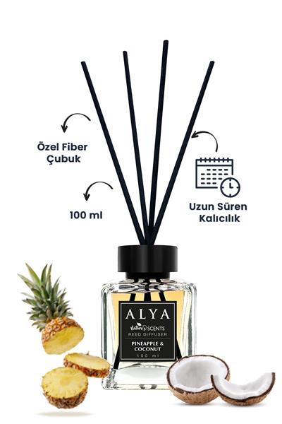 Natures Scents Bambu Çubuklu Oda Kokusu Green Tea-Hot Chocolate-Pineapple-Coconut 100 ml x 3 Adet