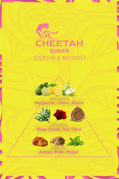 Queen Kadın Deodorant 150 Ml Çiçeksi-Meyveli