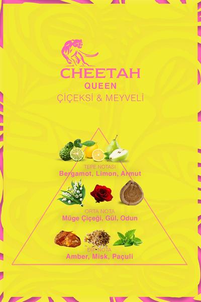 Queen Kadın Parfümü 100 Ml Çiçeksi-Meyveli