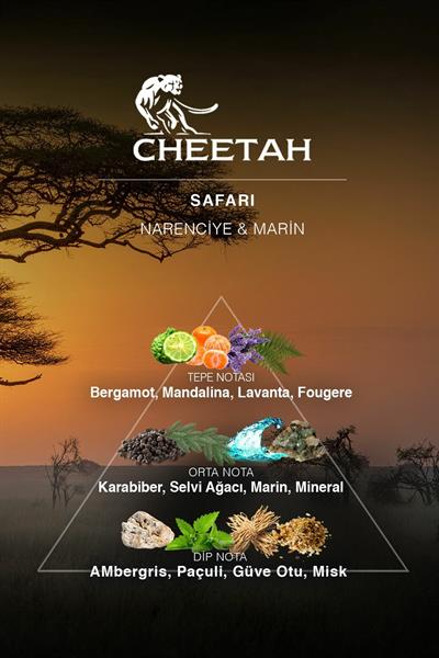 Safari Cıtrus & Marıne Erkek Deodorant 150 ml