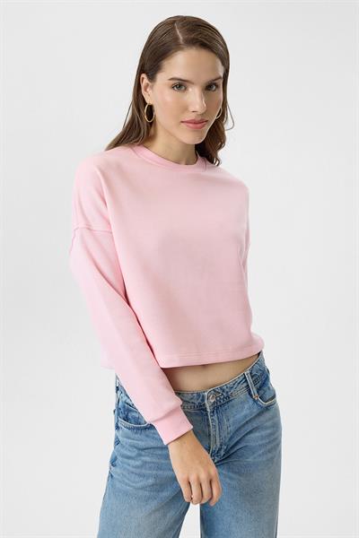 Basic Crop Sweatshirt