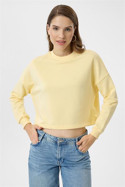 Basic Crop Sweatshirt
