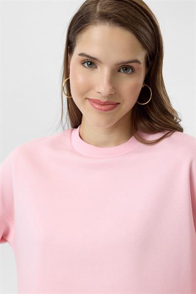 Basic Crop Sweatshirt
