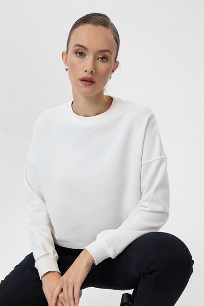 Basic Crop Sweatshirt