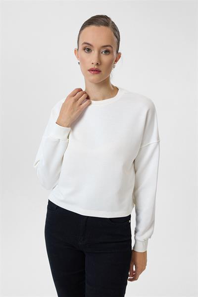 Basic Crop Sweatshirt