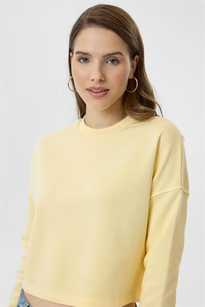 Basic Crop Sweatshirt