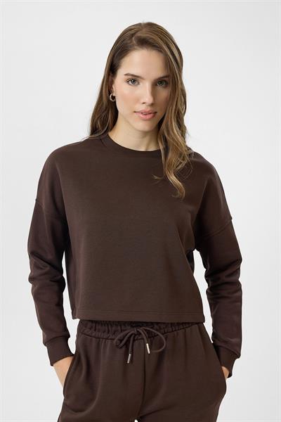 Basic Crop Sweatshirt