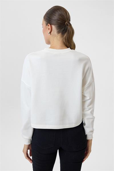 Basic Crop Sweatshirt
