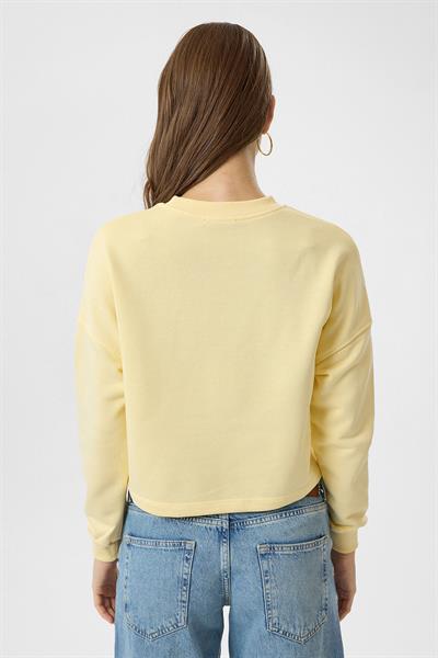 Basic Crop Sweatshirt
