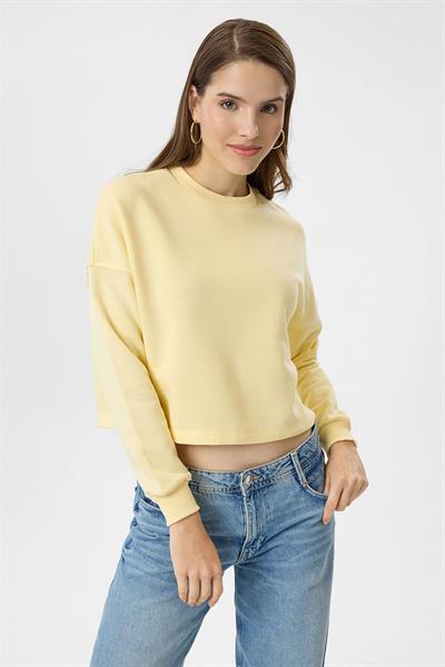 Basic Crop Sweatshirt