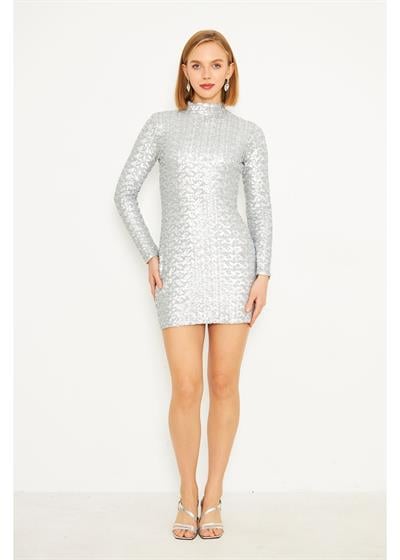 Hakim Yaka Gümüş Pul Payet Elbise 