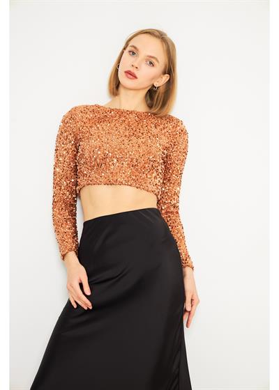 Uzun Kollu Payetli Vizon Crop Bluz 