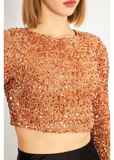 Uzun Kollu Payetli Vizon Crop Bluz 